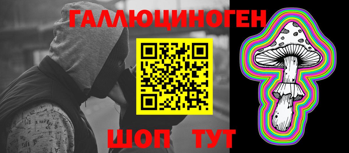 Псилоцибиновые грибы Psilocybe Кубинка